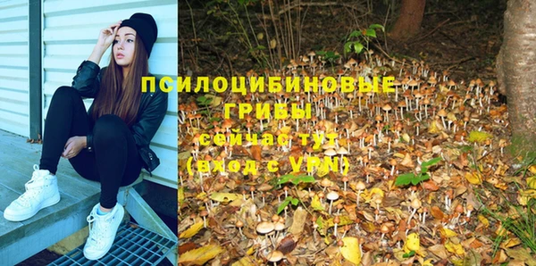 первитин Алексеевка